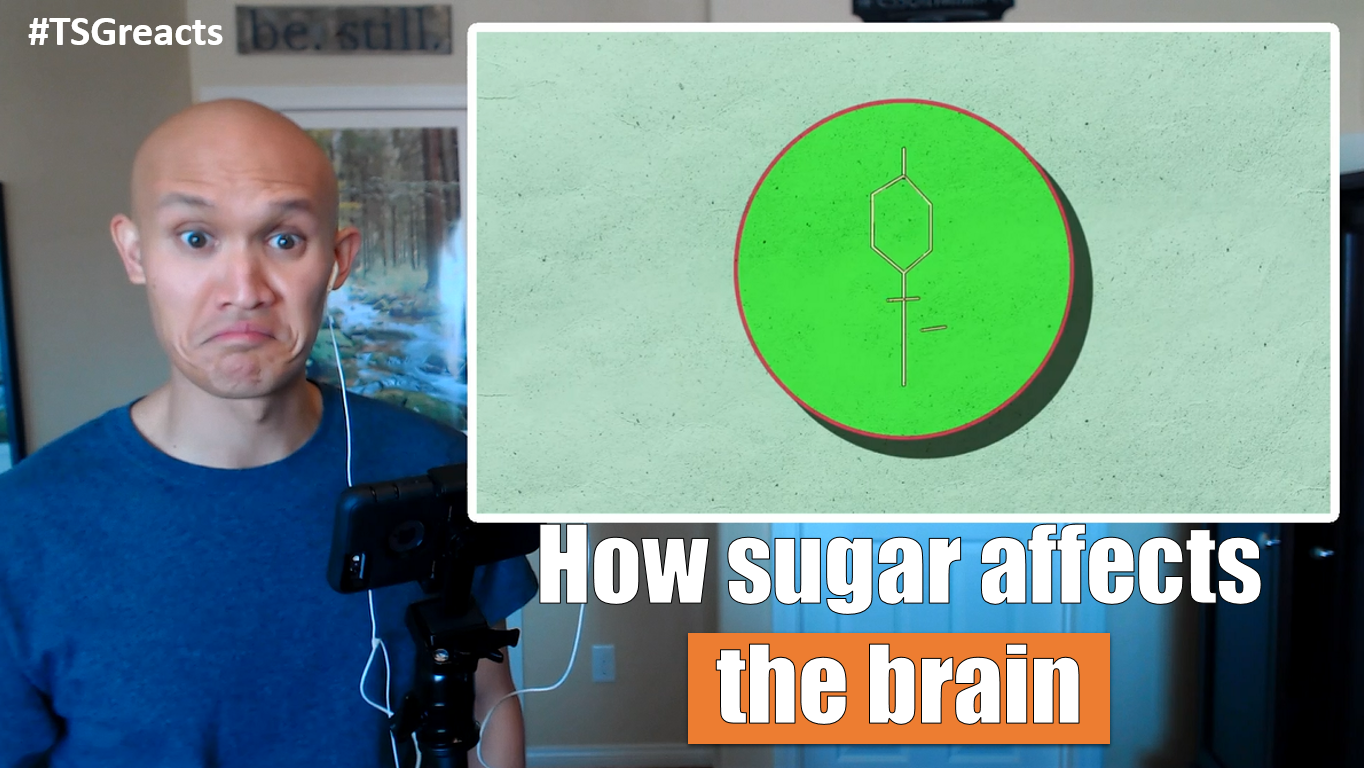 how-sugar-affects-the-brain