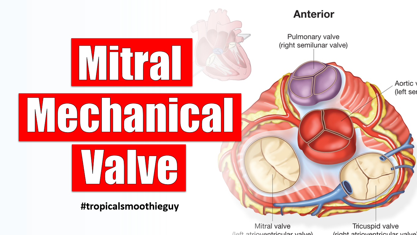 how-many-years-does-a-mitral-valve-repair-last